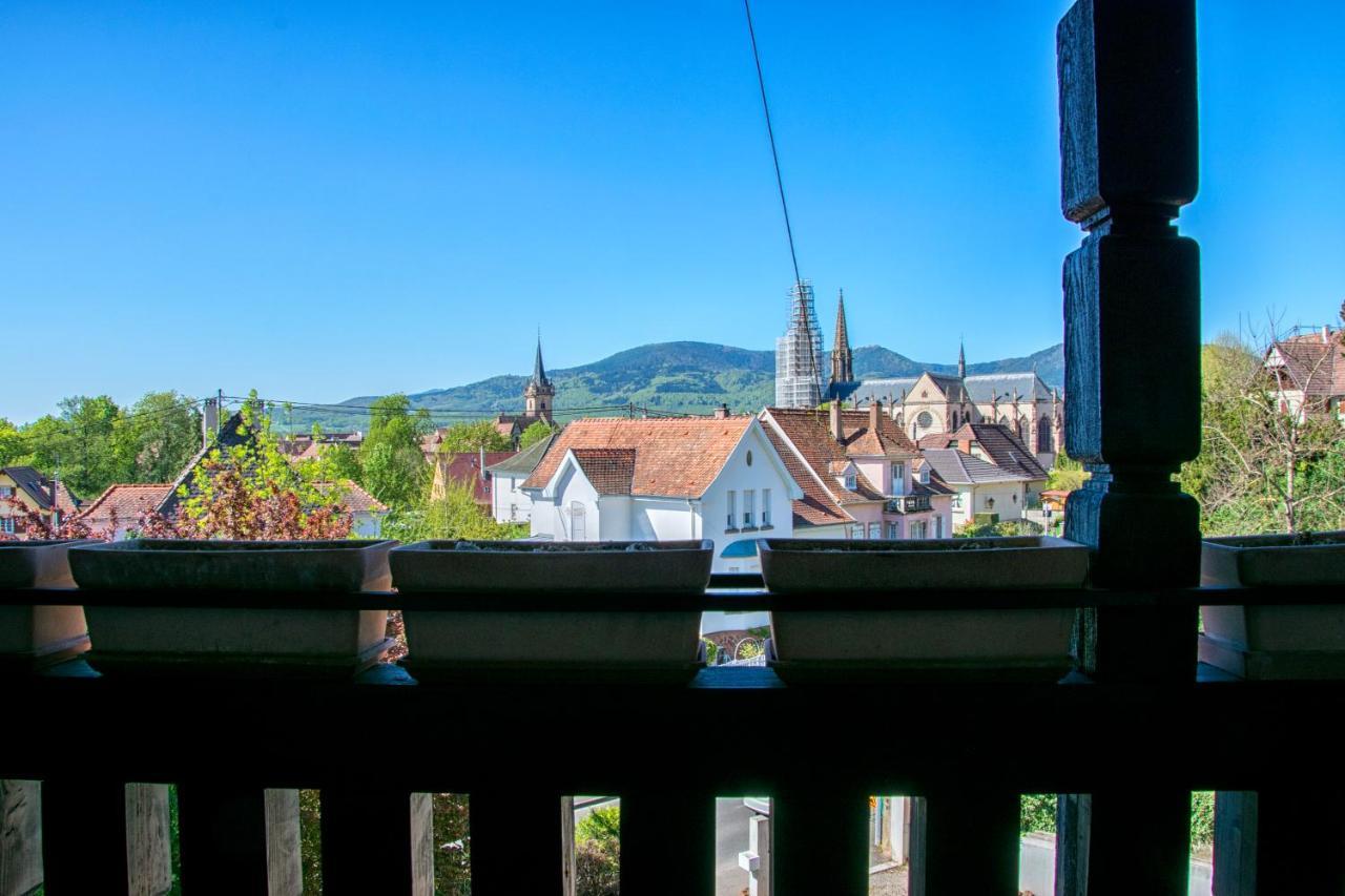 La Villa Du Coteau Obernai Luaran gambar
